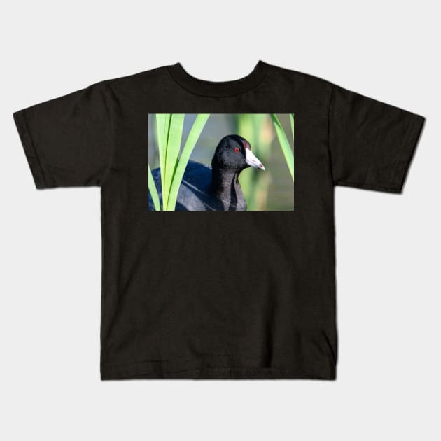 Coot Kids T-Shirt by gdb2